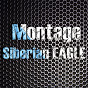 Montage♛Siberian_Eagle